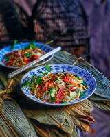 Vietnamesischer Rindfleischsalat mit Sojasprossen