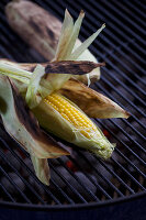 Gegrilllter Maiskolben
