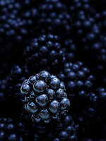 Close-up of blackberries