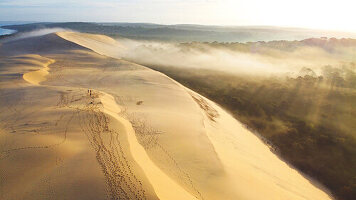 Luftaufnahme der Düne von Pilat mit dem nebelverhangenen Pinienwald der Landes, Gironde, Frankreich.