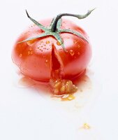 Squashed tomato
