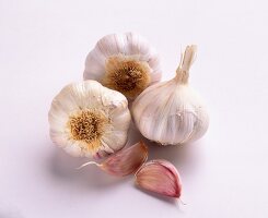 Garlic