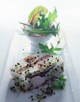 Fischterrine mit Sprossen und Salat