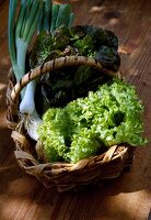 Basket of lettuces and onions
