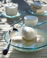 Mozzarella in Lake, Frischkäse im Hintergrund