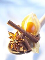 Physalis, cinnamon sticks and star anise on spoon