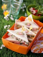 Cream cheese sandwiches with cucumber and radishes for a picnic