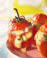 Tomatoes stuffed with melted cheese