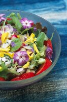 Summer salad