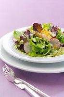 Mixed salad with turkey and radishes