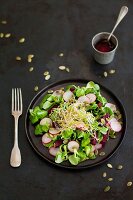 Corn lettuce,radish,beetroot and squash seed salad