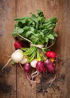 Bunch of multicolored radishes