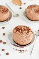 Small chocolate Entremets