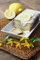 Zitronen-Mohn-Kastenkuchen