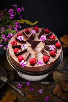 Schokoladen-Käsekuchen mit Himbeeren und Waffelblättern