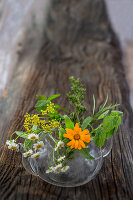 Blumen und Heilpflanzen in einer Glasteekanne
