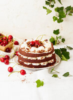 Black Forest cake