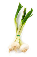 Bundle of onions on a white background