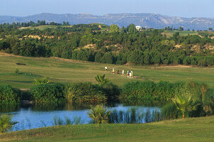 Citrus Golfplatz, Hammamet Tunesien