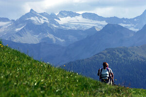 Mountainhiker, Mountain Meadow, Highmountains, Großglockner, Nationalpark Hohe Tauern, Salzburger Land, Austria