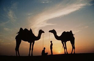Wüstenbewohner mit Kamelen, Sahara, Afrika