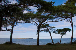Küstenlandschaft in der Nähe von Djauvik, Insel Lilla Karlsö im Hintergrund, Naturschutzgebiet, Gotland, Schweden, Skandinavien, Europa