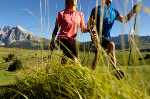 Two hikers with hiking poles in an alpine meadow, South Tyrol, Italy, Europe