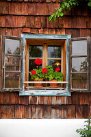 Fenster mit Geranien von einem Holzhaus, Steiermark, Österreich
