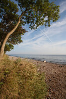 Küstenlandschaft mit Strand im Sommer, Insel Fehmarn, Schleswig-Holstein, Ostsee, Deutschland