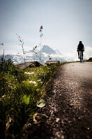 Cyclist on mountain pass, Eiger and Moench in the background, Bussalp, Bernese Oberland, Switzerland