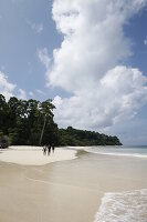 'Turtle Beach' dive site, boat tour with Barefoot Scuba, coastal forest without palms, Northwest Coast, Havelock Island, Andaman Islands, Union Territory, India