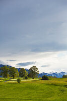 grasfields and trees after Thunderstorm