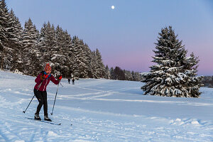 Women skiing in a winter forest, cross-country skiing with full moon, winter landscape, Harz, MR, Sankt Andreasberg, Lower Saxony, Germany