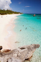 BERMUDA. Rocks and Beaches at Warwick Long Bay.