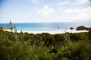 BERMUDA. Rocks and Beach at Horseshoe Bay.