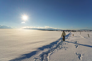 A woman with her dog on a walk through the snowy landscape at Riegsee, Aidling, Upper Bavaria, Germany