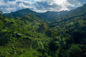 Kap Verde, Hinterland der Insel Santiago, grünes Tal mit Hütte und Feldern