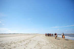 Reitergruppe auf Islandpferden, riesiger Strand an Ostplate, Insel Spiekeroog, Wattenmeer, Ostfriesland, Niedersachsen, Deutschland