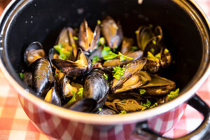Pot of mussels in restaurant, Concarneau, Arrondissement Quimper, Departement Finistere, Brittany, France, Europe