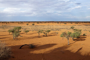 Landschaft bei Kalkrand, Kalahari Becken, Namibia