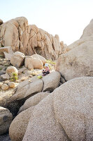 Junge sitzt auf einem Felsen der Jumbo Rocks im Joshua Tree Park, Kalifornien, USA