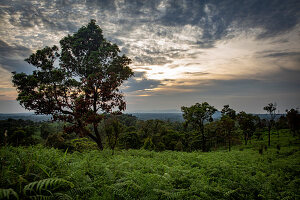 Landschaft im Bolaven Plateau nahe Kaffeeplantage Mystik Mountain Coffee, Champasak, Laos, Asien