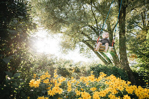 Little boy swings in the garden, yellow flowers, swings, joy, Allgäu, Bavaria