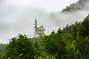 View of Neuschwanstein Castle with clouds and green forests, Schwangau, Upper Bavaria, Germany