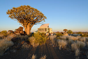 Camping at the quiver tree on the Gariganus farm, Namibia