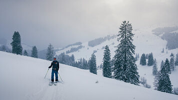 Ski tour to the snow-covered Lacherspitze in Sudelfeld in Bavaria, ski tourers in the snow between snow-covered trees