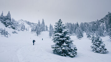 Skitour auf die verschneite Lacherspitze im Sudelfeld in Bayern, Skitourengeher im Schnee zwischen verschneiten Bäumen