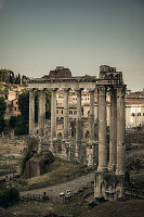 Ancient Forum Rome Italy