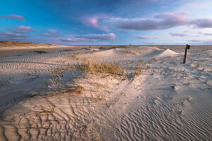 The beach of St.Peter-Ording at sunset, North Friesland, Schleswig-Holstein, Germany