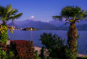 Blick von der Seepromenade in Stresa auf die Isola Bella  und die Alpen, Lago Maggiore, Piemont, Italien
